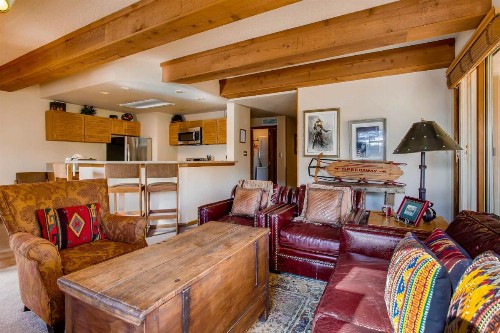 Crested Butte Mountain Resort Properties - image 26
