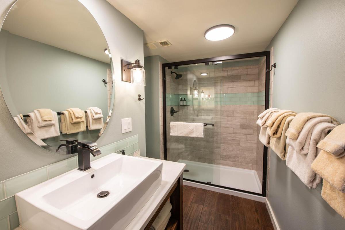 Crested Butte Mountain Resort Properties - image 6