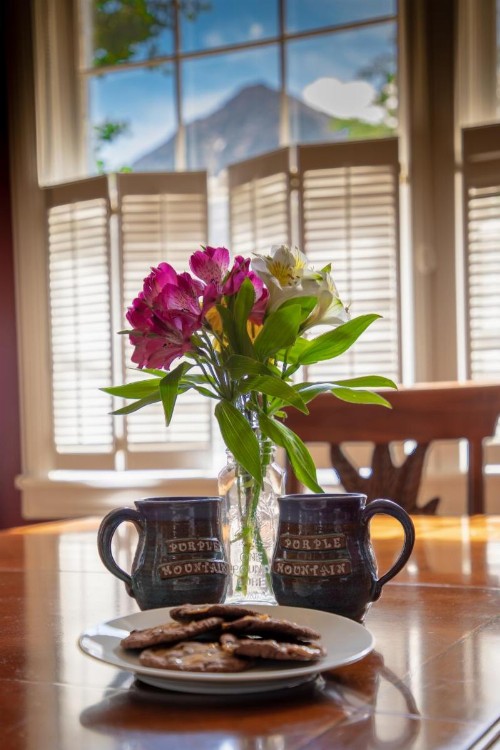 Purple Mountain Bed & Breakfast & Spa - image 33