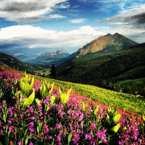 Pet Friendly Sleeps 22 48-Hour Cancellation Breathtaking Views with Hot Tub - Earhart - image 41