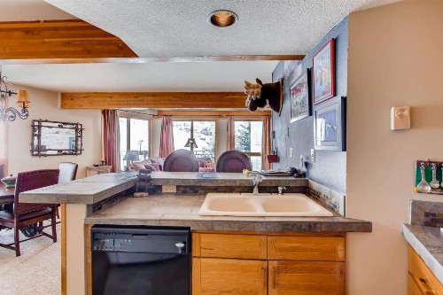 Ski-In/Ski-Out 2 Br Condo- Sleeps 6 People Condo - image 16