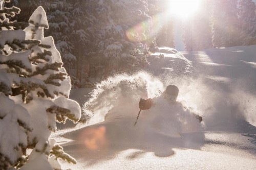 Ski-In/Ski-Out 2 Br Condo- Sleeps 6 People Condo - image 20