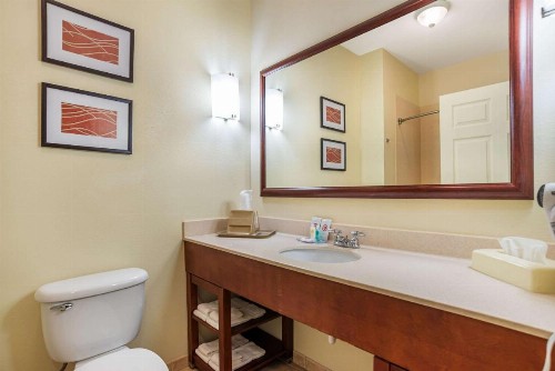 Comfort Inn & Suites Crestview - image 11