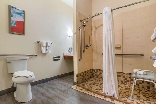 Comfort Inn & Suites Crestview - image 27