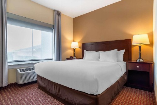 Comfort Inn & Suites Crestview - image 9