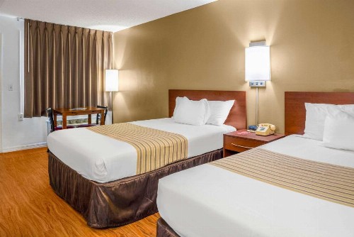 Econo Lodge Crystal River - image 42
