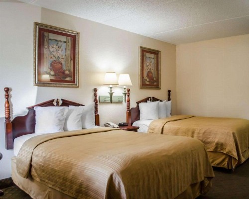 Quality Inn Crystal River - image 6