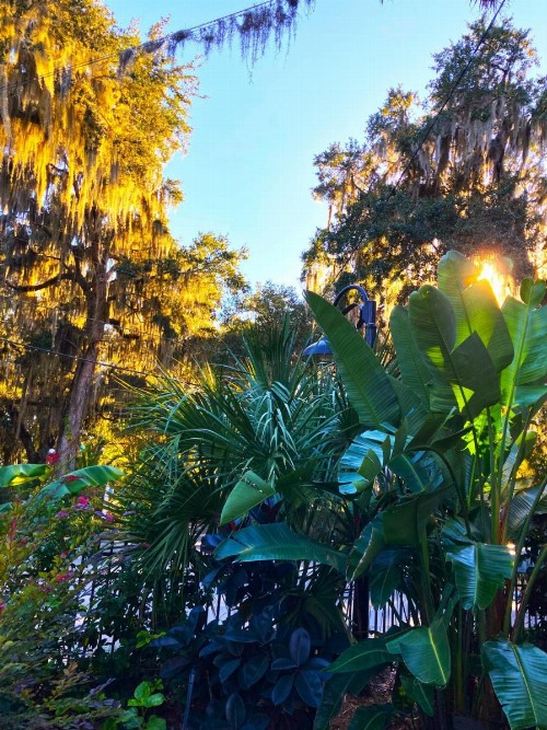 Retreat at Crystal Manatee - image 2