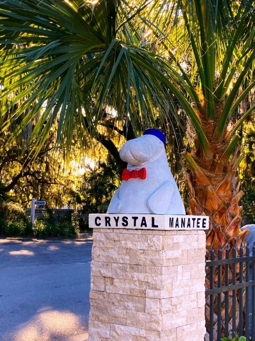 Retreat at Crystal Manatee - image 3