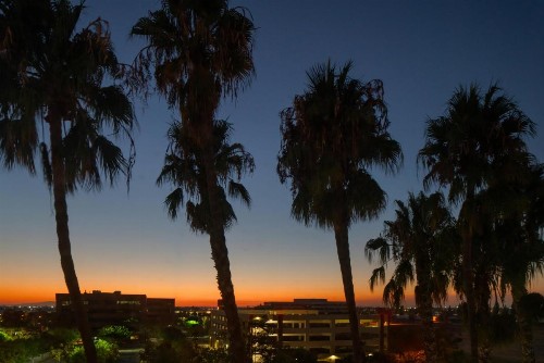 Courtyard by Marriott Cypress Anaheim / Orange County - image 38