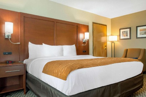Comfort Inn & Suites - image 10