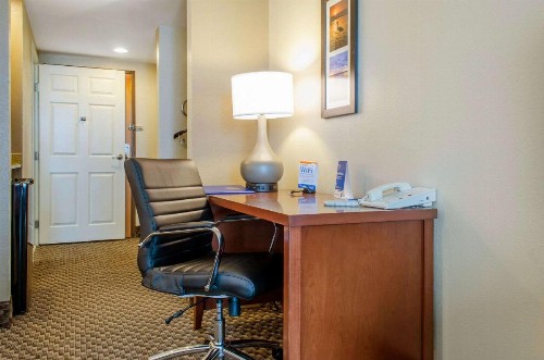 Comfort Inn & Suites - image 11