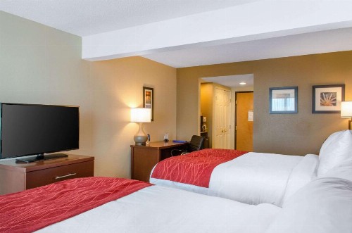 Comfort Inn & Suites - image 12