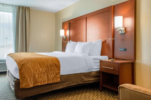 Comfort Inn & Suites - image 8