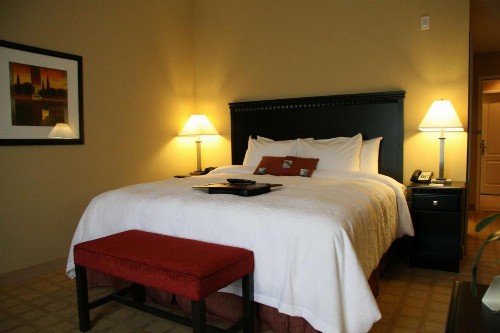 Hampton Inn Dade City - Zephyr Hills - image 13