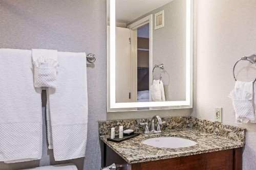 Embassy Suites Dallas - Market Center - image 34