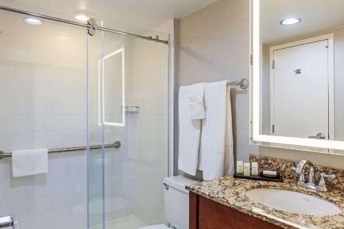 Embassy Suites Dallas - Market Center - image 35