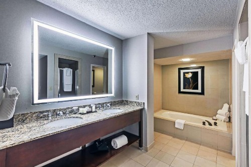 Embassy Suites Dallas - Market Center - image 36
