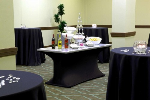 Embassy Suites Dallas - Market Center - image 48