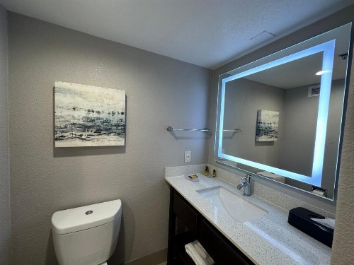 Best Western Plus Dallas Love Field North Hotel - image 43