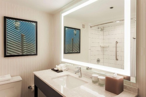 Embassy Suites by Hilton Dallas-Love Field - image 26