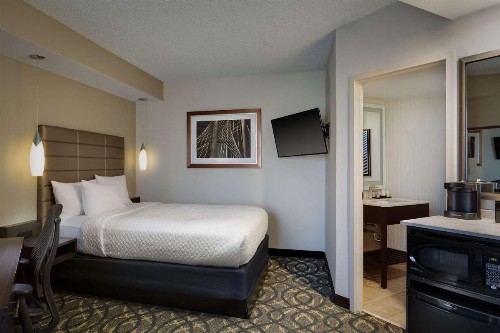 Embassy Suites by Hilton Dallas-Love Field - image 28