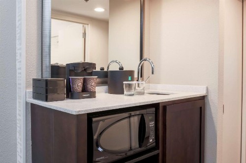Embassy Suites by Hilton Dallas-Love Field - image 3