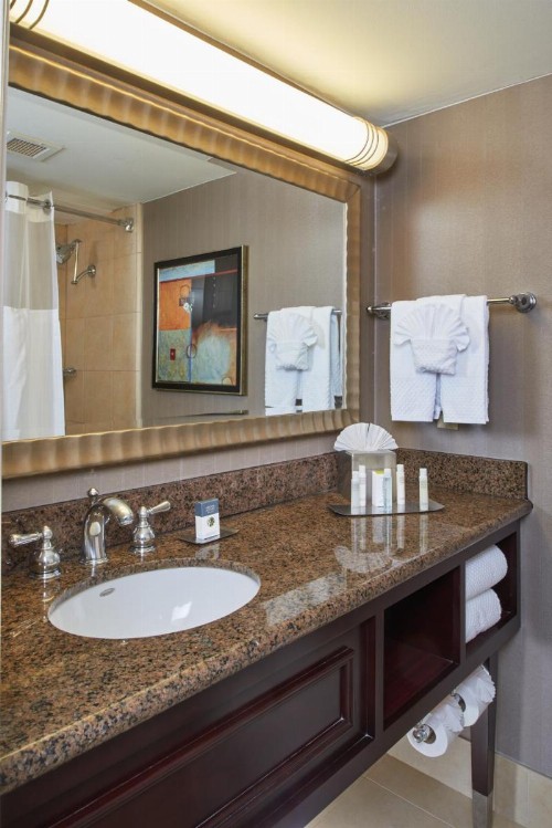DoubleTree by Hilton Dallas Market Center - image 46