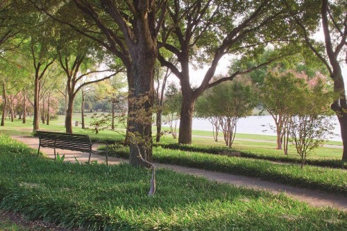 DoubleTree by Hilton Dallas-Farmers Branch - image 2