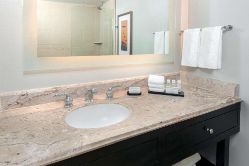 Embassy Suites Dallas - Park Central Area - image 28