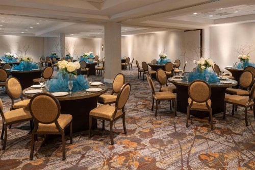 Sheraton Dallas Hotel by the Galleria - image 5