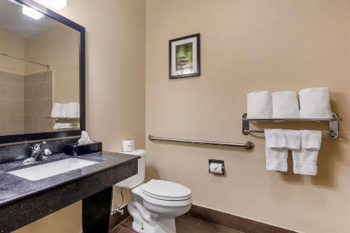 Comfort Suites North Dallas - image 10