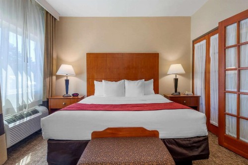 Comfort Suites North Dallas - image 13