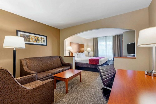 Comfort Suites North Dallas - image 17