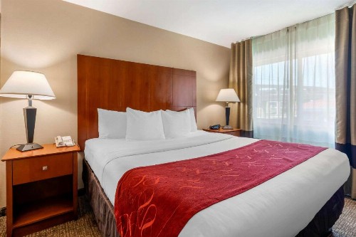 Comfort Suites North Dallas - image 23