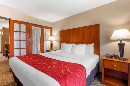 Comfort Suites North Dallas - image 25