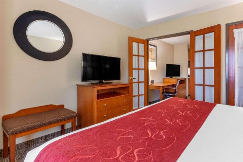 Comfort Suites North Dallas - image 26