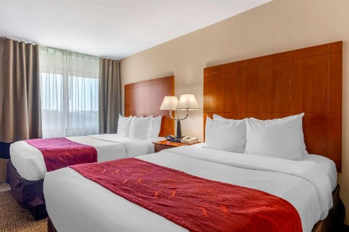 Comfort Suites North Dallas - image 31