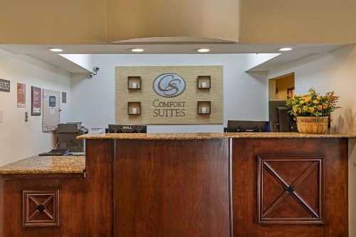 Comfort Suites North Dallas - image 40