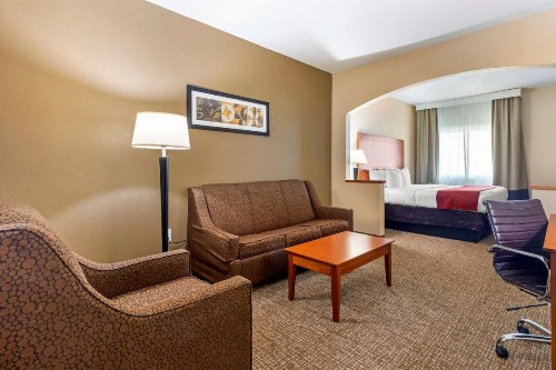 Comfort Suites North Dallas - image 5