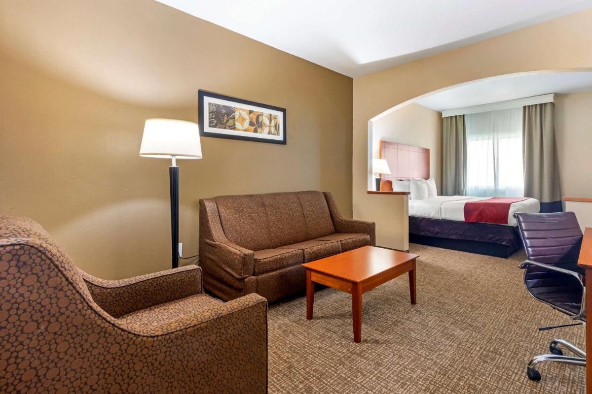 Comfort Suites North Dallas - image 5