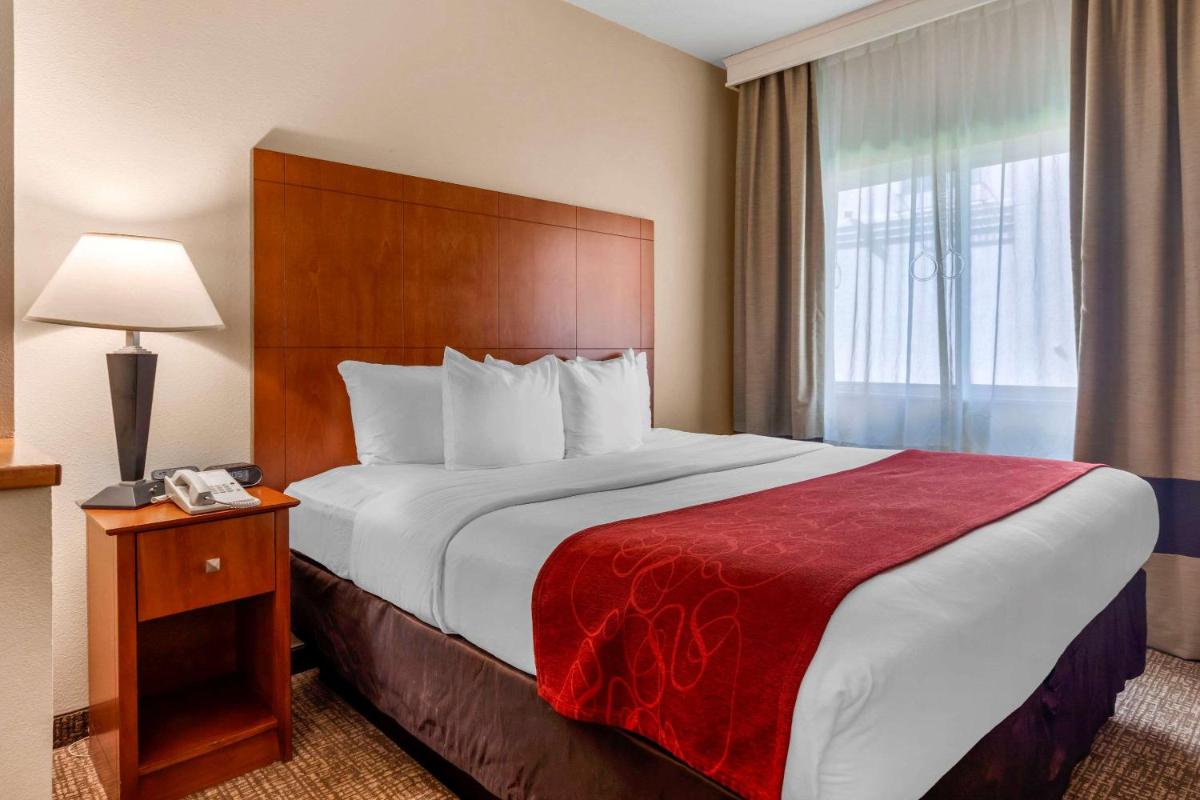 Comfort Suites North Dallas - image 6