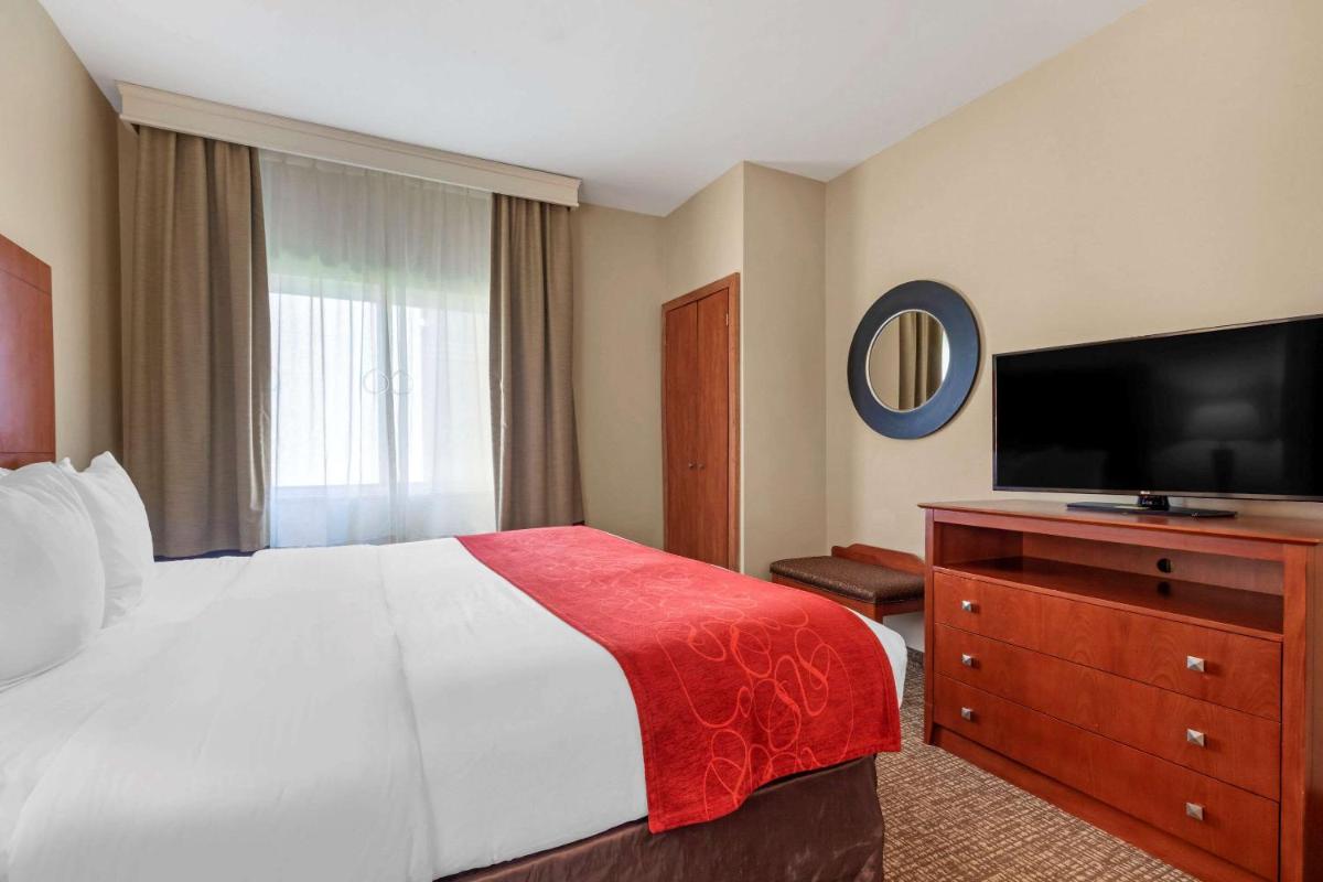 Comfort Suites North Dallas - image 7