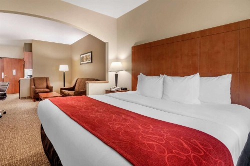 Comfort Suites North Dallas - image 8