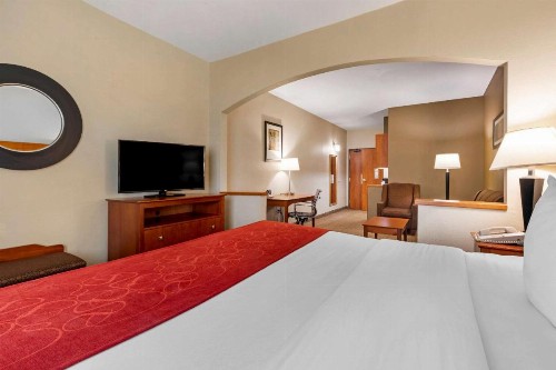 Comfort Suites North Dallas - image 9