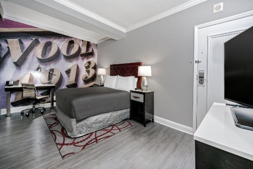 Hotel Indigo Dallas Downtown an IHG Hotel - image 7