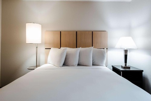 Sonesta Simply Suites Dallas Richardson - image 14
