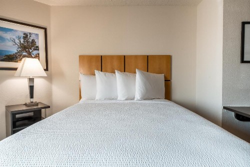 Sonesta Simply Suites Dallas Richardson - image 17