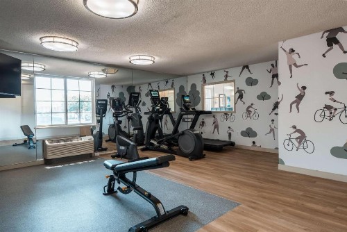 Sonesta Simply Suites Dallas Richardson - image 19