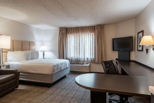 Sonesta Simply Suites Dallas Richardson - image 27